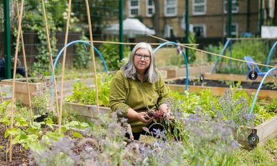 London’s food-growing schemes offer harvest of fruit, veg and friendship