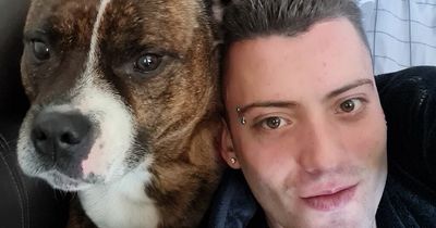 Pet owner devastated after beloved dog dies after 'being stabbed' in Gateshead