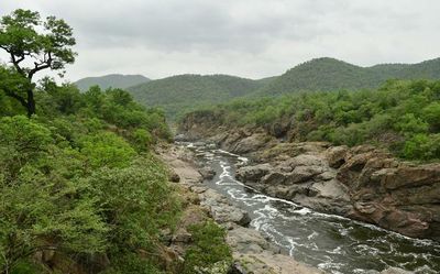 Dam over troubled waters: Why the Mekedatu water project continues to divide Karnataka and Tamil Nadu
