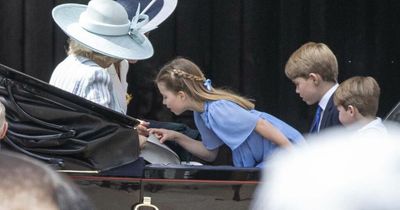 Princess Charlotte's playful moment with Camilla as she sneaks peek into handbag