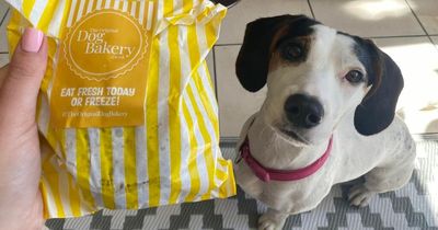 I visited the tiny ‘Original Dog Bakery’ in Liverpool ONE serving doughnuts and cookies for pets