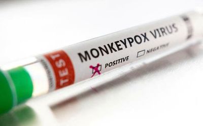 Monkeypox virus mutates at a higher rate