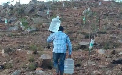 One man’s effort spawns a green army to increase tree cover