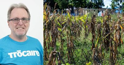 Ayrshire aid worker's Ukraine war fears as he helps fight food crops crisis in Zimbabwe