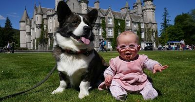 Pack of Queen’s favourite dogs gather at Balmoral Castle in Platinum Jubilee celebration