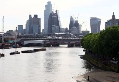 Man Tasered by police rescued after falling from Chelsea Bridge into River Thames