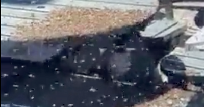 Terrifying swarm of wasps 'causing havoc' at Scots pub as video shows thousands of flying bugs