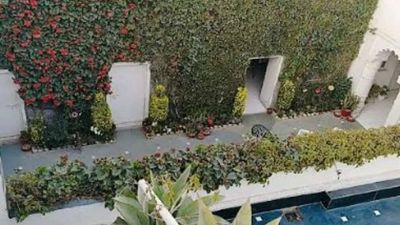 Retired banker has 1k plants of 400 varieties in his Agra house, making it a tourist spot