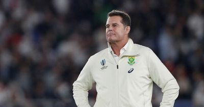 Rassie Erasmus left red-faced as adult video appears on his Twitter after being "hacked"