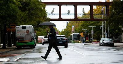 Damaging wind warning issued for parts of ACT, southern NSW