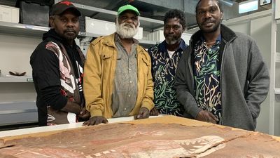 Arnhem Land art 'detectives' helping discover who painted these priceless works