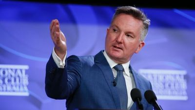 Energy Minister Chris Bowen blames Coalition for Australia's gas crisis, says 'gas trigger' not the answer