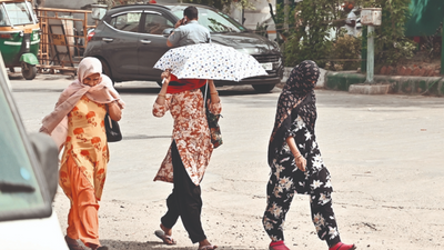 Delhi-NCR weather: Heatwaves back this week, doctors advise caution