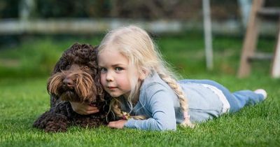 Parents stunned when their five-year-old daughter appears on theatre stage