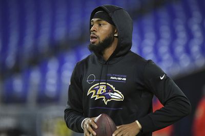 Bleacher Report says Ravens WR ready to ascend to star status in sophomore season