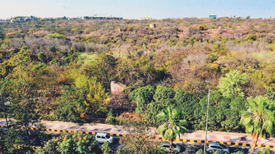 Hyderabad: Tunnel road under KBR can deplete groundwater, say expert