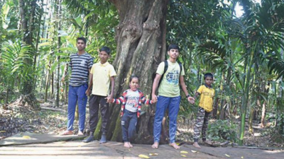 'Goa's Temple tanks, sacred groves need to be preserved'