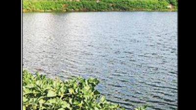 Odisha High Court seeks report on Cuttack tanks