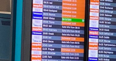 Luton Airport: Flights unable to land as power cut strikes leaving passengers stranded