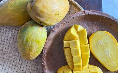 Weather plays spoilsport for fans of Himayat mango in Andhra and Telangana