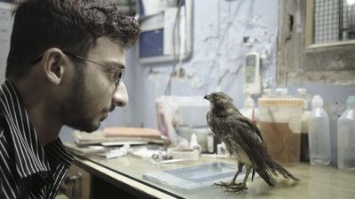Documentary on Delhi’s fragile ecosystem swoops in to collect Cannes award