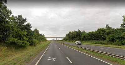 Young East Lothian pedestrian dies after collision with taxi on the A1