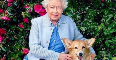 Queen's comment to woman who bumped into her at Balmoral walking Corgis