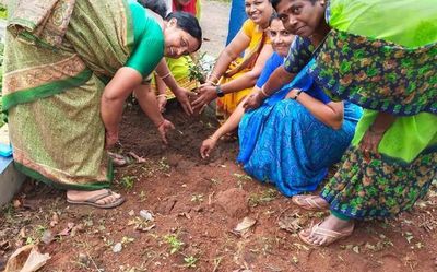 Drive to plant fruit trees at anganwadi centers launched in Kodagu