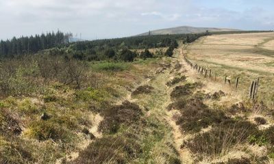 Romans ventured deeper into Wales than thought, road discovery shows