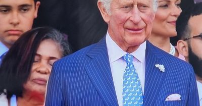 Brits in hysterics as guest behind Prince Charles 'falls asleep' at Jubilee Pageant