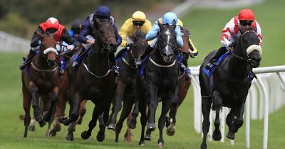 Newsboy's racing tips and nap for Monday at Pontefract, Windsor, Lingfield and Southwell