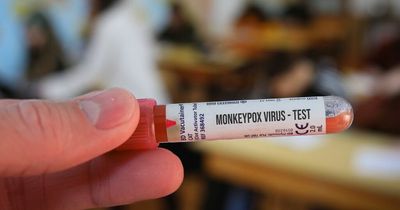 Monkeypox cases triple across the globe but WHO insists risk to the public 'remains low'