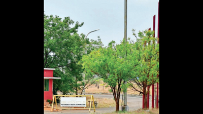 Tamil Nadu’s South going North, finally