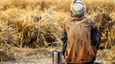 Goa Government revises agriculture loss scheme, compensation now up to Rs 1.6 lakh