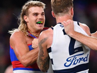 Smith takes AFL's two-game headbutting ban