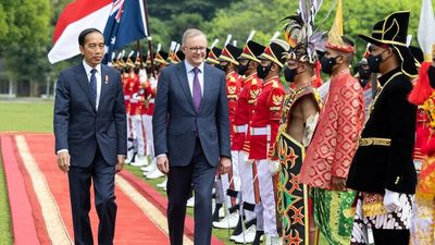 Prime Minister Anthony Albanese says he will attend G20 meeting in Indonesia after meeting Joko Widodo