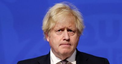 Tory rebels expect vote of no confidence in Boris Johnson 'to be announced this morning'