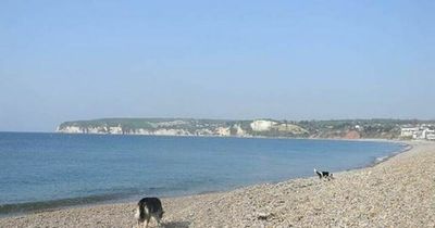 Raw sewage pours into the sea at two West Country beaches