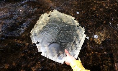 ‘Portals into the past and future’: the artist soaking her works in Britain’s bogs