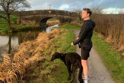 So, could I lose the pandemic pounds by eating...ready meals?