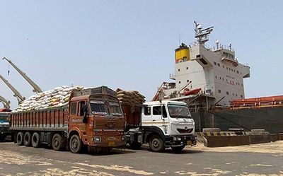 Global wheat prices jump after India export ban and Ukraine war: Food and Agriculture Organisation