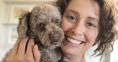 'I quit my £60k lawyer job to be a pet psychic - I earn more talking to dogs'