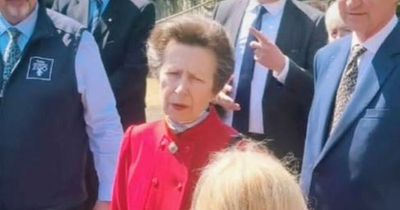 Edinburgh Zoo going-mum left speechless after running into 'lovely' Princess Anne