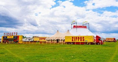 Popular Zippo's travelling circus coming to Falkirk later this month
