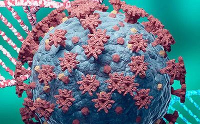 IISC scientists develop miniproteins that may prevent COVID infection