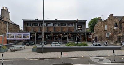 Popular Edinburgh pub beer garden invaded by huge swarm of wasps in dramatic clip