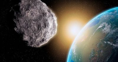Huge asteroid 'three times the size of blue whale' is skimming past Earth