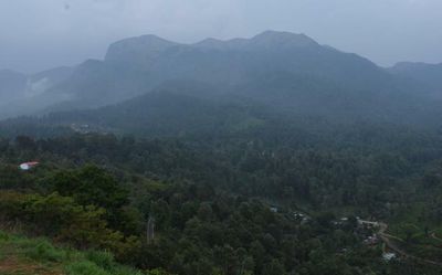 Kerala to demand relaxation in SC order of eco-sensitive zones around forests