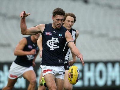 Blues' Tom Williamson takes leave from AFL