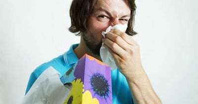 Over half of Brits experience allergies - and suffer debilitating symptoms